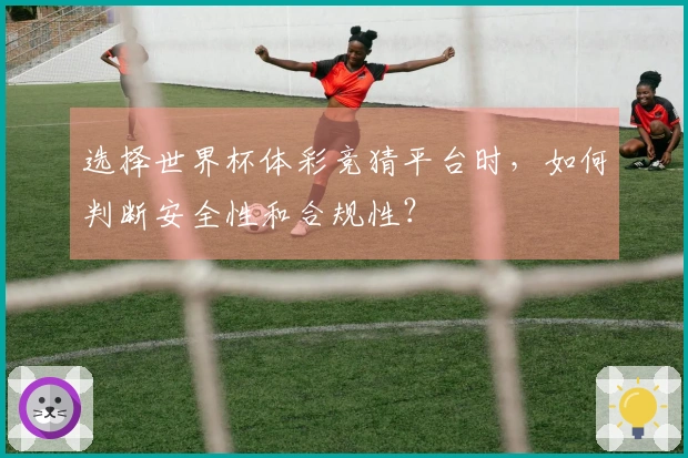 选择世界杯体彩竞猜平台时,如何判断安全性和合规性?