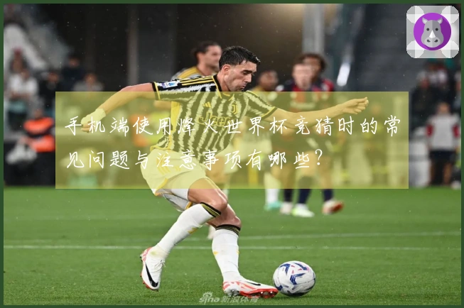 手机端使用烽火世界杯竞猜时的常见问题与注意事项有哪些?