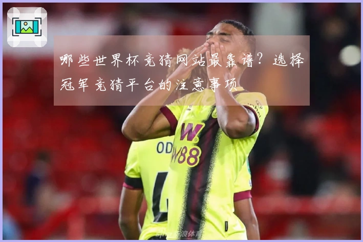 哪些世界杯竞猜网站最靠谱？选择冠军竞猜平台的注意事项